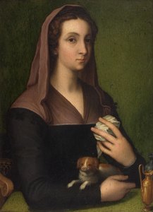 Portret van een dame door Marcello (follower of) Venusti