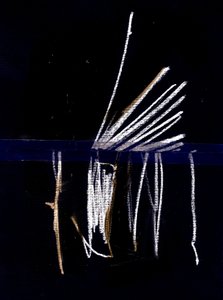 Due, 2018 (collage) door Marco Campedelli