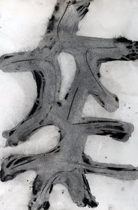 Ramas, 2014 (inkt op papier) door Marco Campedelli