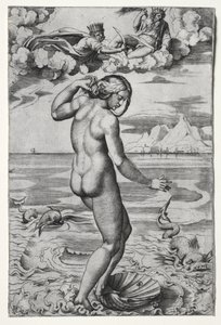 De geboorte van Venus