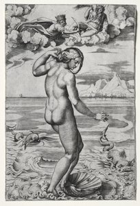 De Geboorte van Venus, ca. 1516