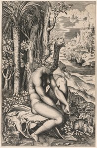 Venus Gewond door een Rozen Doorn