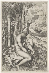 Venus gewond door de doorn van een roos