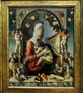 De maagd en het kind met acht engelen. 1455 door Marco di Antonio di (1433 1478) Ruggero