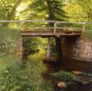 Een bosbeek met een houten brug