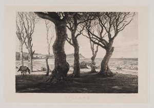 Jutlands landschap