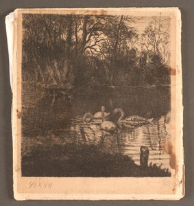 Motief met zwanen. Frederiksberg tuin