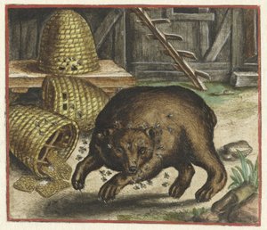 Fabel van de beer en de bijen door Marcus Gheeraerts (I)