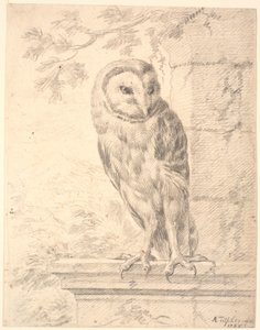 Baron von Stoschs uil