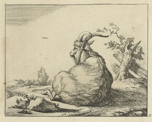 Bok zittend bij omgevallen boom door Marcus de Bye