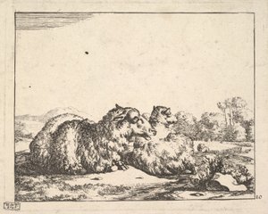 Schapen, uit een set van 16 platen, 1664