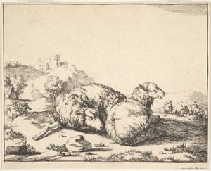 Schapen, uit een set van 16 platen, 1664 door Marcus de Bye