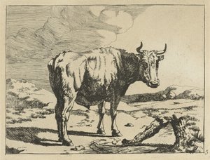 Stier staand bij boomstronk door Marcus de Bye