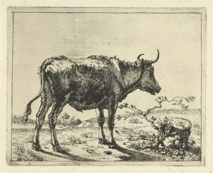Stier staand bij boomstronk