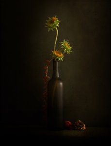 Stilleven met een stemmige zonnebloem