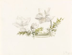 Studie van een bloemstuk door Margaret Louisa Herschel
