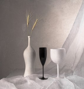 Elegant monochroom stilleven door Margareth Perfoncio