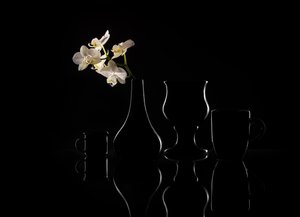  door Margareth Perfoncio