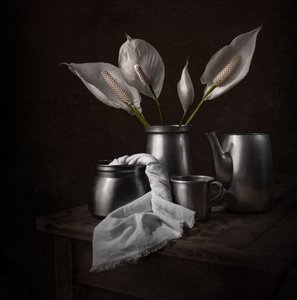 Elegante vredeslelies door Margareth Perfoncio