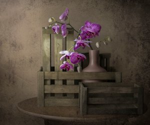  door Margareth Perfoncio