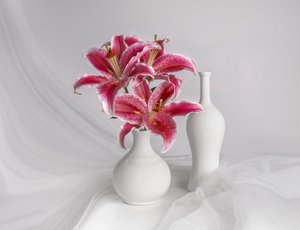Roze lelies in witte vazen door Margareth Perfoncio