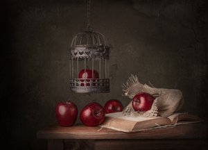 Rustieke appels en een boek door Margareth Perfoncio