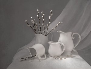 Lente-wilgenkannen