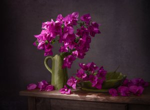 Levendig stilleven met bougainvillea door Margareth Perfoncio