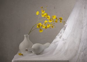 Stilleven met gele orchideeën