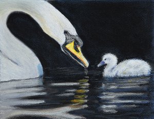 Volg mama door Margo Starkey
