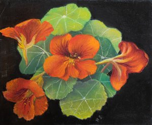 Oost-Indische kers door Margo Starkey
