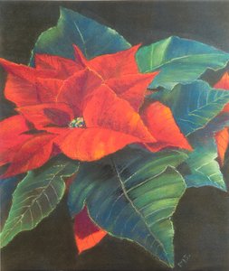 Poinsettia, 2022 door Margo Starkey