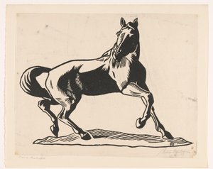 Paard