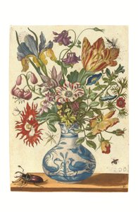 Plaat uit Blumenbuch (handgekleurde gravure) door Maria Sibylla Graff Merian