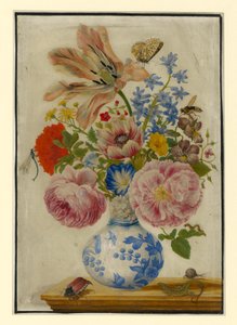  door Maria Sibylla Merian