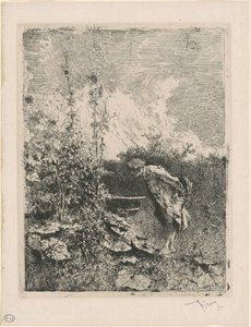De Tuinliefhebber