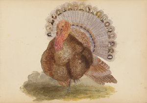 Het Madame B Album door Marie Blanche Hennelle Fournier