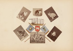 Het Madame B Album door Marie Blanche Hennelle Fournier