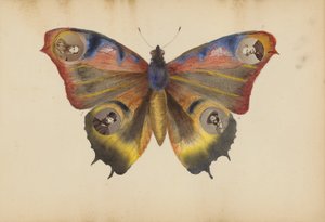 Het album van Madame B door Marie Blanche Hennelle Fournier