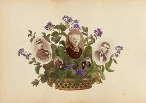 Het Madame B Album, 1870s