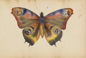 Het Madame B Album, 1870s door Marie Blanche Hennelle Fournier