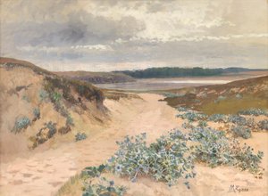 Duinlandschap in Bretagne