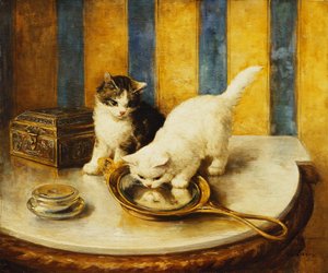 Feline Reflecties door Marie Yvonne Laur