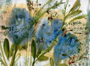 Blauwe Bloemen