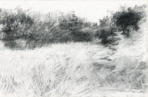 Landschap door Marina Falco