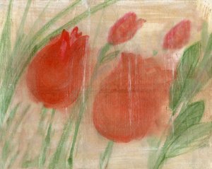 Rode Tulpen