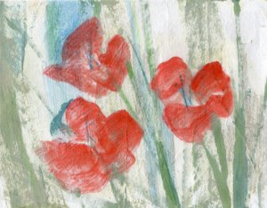 Rode bloemen
