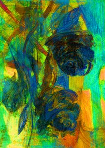 Rozen door Marina Falco