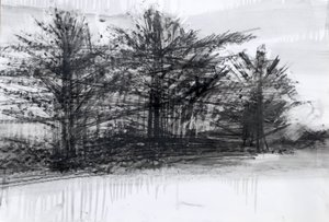 Bomen door Marina Falco