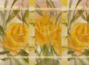 Gele Bloemen 2
